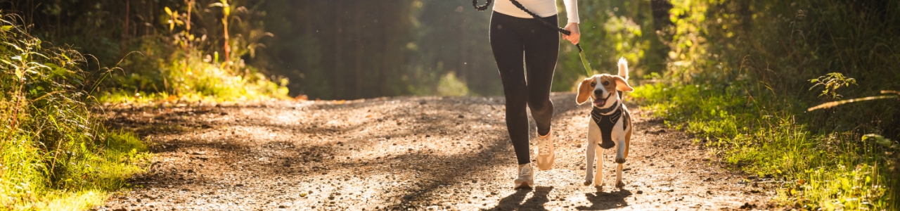 CareCo-Physio-and-Massage-Maple-Ridge-BC
